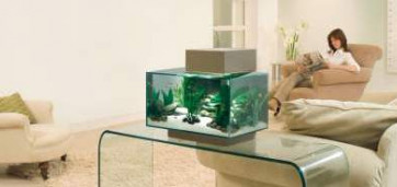 petit aquarium dans un salon sur une table en verre