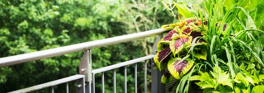 Les solutions pour jardiner sur votre balcon