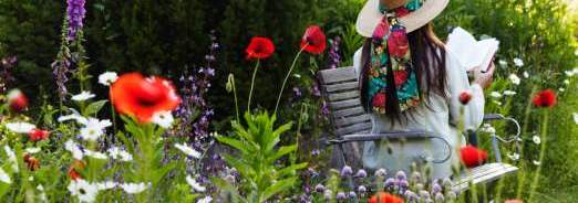 Concevoir un jardin...