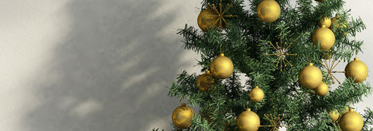 Le sapin