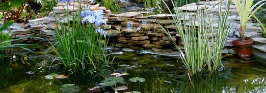 Créer un bassin