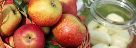 Conserver les pommes et les poires