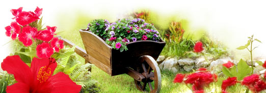 jardin
