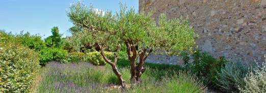 Bien connaître son jardin