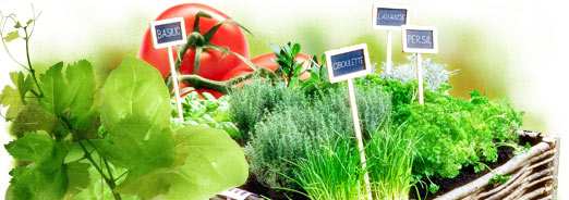 potager