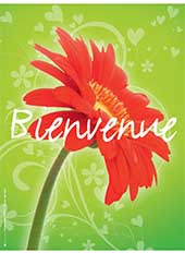 affiche bienvenue avec une fleur rouge