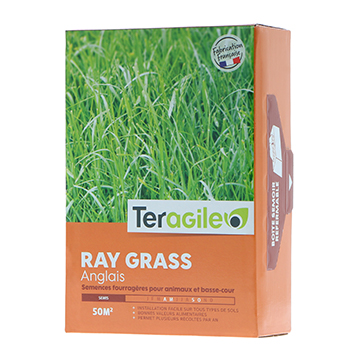 Semence fourragère Ray Grass Anglais teragile