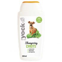 shampooing pour chiots yock