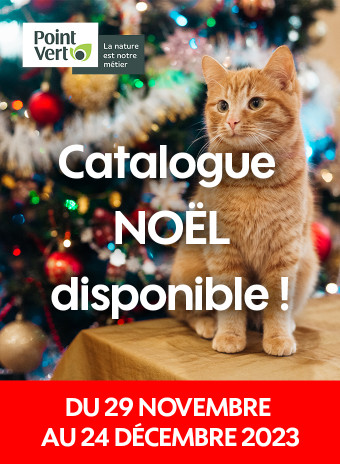 NOËL Point Vert - du 29 novembre au 24 décembre 2023