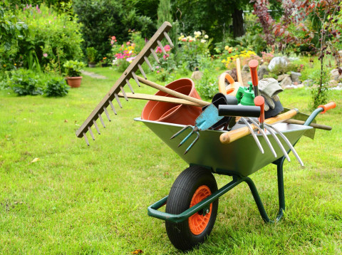 brouette pleine d'outils de jardinage dans un jardin