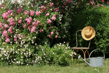 jardin fleuri rose et blanc, chaise avec chapeau de paille